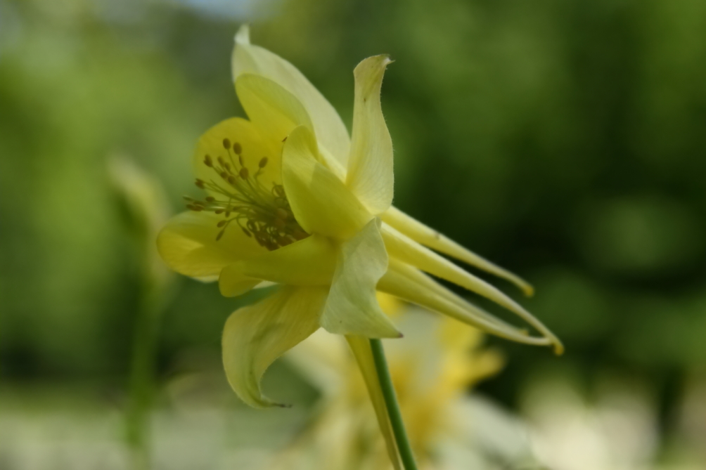 2012 05 20 3652